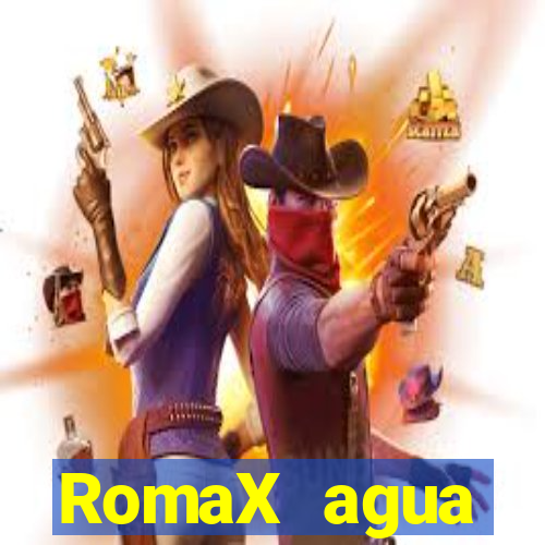 RomaX agua sanitaria fispq agua sanitaria romax